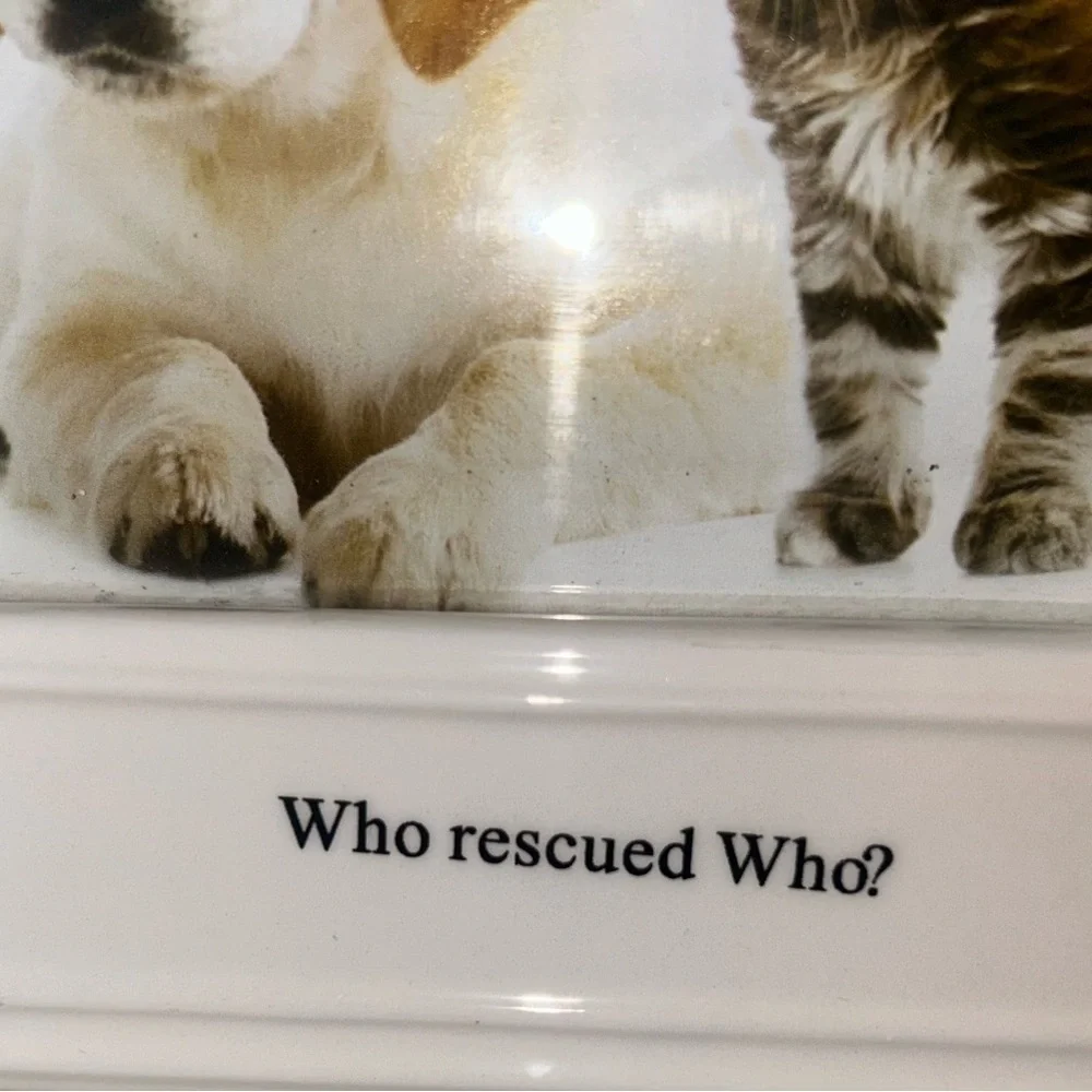 My Fido pet lovers